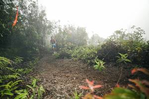 BIB: 
                            <button type="button" onclick="openModal(26485838)" class="btn btn-primary btn-sm float-right btn-popup" data-toggle="modal" data-target=".modal-high-quality">
                        <i class="fas fa-shopping-cart"></i> Add to Cart
                    </button>
                                            <button type="button" onclick="isThisMe(26485838, true)" class="btn btn-success btn-sm float-right btn-popup btn-isme hidden" data-toggle="tooltip" data-placement="bottom" title="นี่คือรูปของคุณใช่ไหม คลิกที่นี่เพื่อเอาเข้าอัลบั้ม">
                        <i class="fas fa-plus"></i> Add to album
                    </button>
                    <button type="button" onclick="isThisMe(26485838, false)" class="btn btn-warning btn-sm float-right btn-popup btn-isnotme hidden">
                        <i class="fas fa-ban"></i> Remove from album
                    </button>