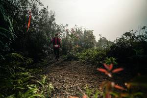 BIB: 
                            <button type="button" onclick="openModal(26486652)" class="btn btn-primary btn-sm float-right btn-popup" data-toggle="modal" data-target=".modal-high-quality">
                        <i class="fas fa-shopping-cart"></i> Add to Cart
                    </button>
                                            <button type="button" onclick="isThisMe(26486652, true)" class="btn btn-success btn-sm float-right btn-popup btn-isme hidden" data-toggle="tooltip" data-placement="bottom" title="นี่คือรูปของคุณใช่ไหม คลิกที่นี่เพื่อเอาเข้าอัลบั้ม">
                        <i class="fas fa-plus"></i> Add to album
                    </button>
                    <button type="button" onclick="isThisMe(26486652, false)" class="btn btn-warning btn-sm float-right btn-popup btn-isnotme hidden">
                        <i class="fas fa-ban"></i> Remove from album
                    </button>