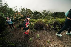 BIB: 
                            <button type="button" onclick="openModal(26496853)" class="btn btn-primary btn-sm float-right btn-popup" data-toggle="modal" data-target=".modal-high-quality">
                        <i class="fas fa-shopping-cart"></i> Add to Cart
                    </button>
                                            <button type="button" onclick="isThisMe(26496853, true)" class="btn btn-success btn-sm float-right btn-popup btn-isme hidden" data-toggle="tooltip" data-placement="bottom" title="นี่คือรูปของคุณใช่ไหม คลิกที่นี่เพื่อเอาเข้าอัลบั้ม">
                        <i class="fas fa-plus"></i> Add to album
                    </button>
                    <button type="button" onclick="isThisMe(26496853, false)" class="btn btn-warning btn-sm float-right btn-popup btn-isnotme hidden">
                        <i class="fas fa-ban"></i> Remove from album
                    </button>