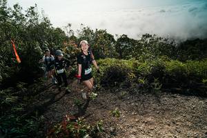 BIB: 
                            <button type="button" onclick="openModal(26496212)" class="btn btn-primary btn-sm float-right btn-popup" data-toggle="modal" data-target=".modal-high-quality">
                        <i class="fas fa-shopping-cart"></i> Add to Cart
                    </button>
                                            <button type="button" onclick="isThisMe(26496212, true)" class="btn btn-success btn-sm float-right btn-popup btn-isme hidden" data-toggle="tooltip" data-placement="bottom" title="นี่คือรูปของคุณใช่ไหม คลิกที่นี่เพื่อเอาเข้าอัลบั้ม">
                        <i class="fas fa-plus"></i> Add to album
                    </button>
                    <button type="button" onclick="isThisMe(26496212, false)" class="btn btn-warning btn-sm float-right btn-popup btn-isnotme hidden">
                        <i class="fas fa-ban"></i> Remove from album
                    </button>