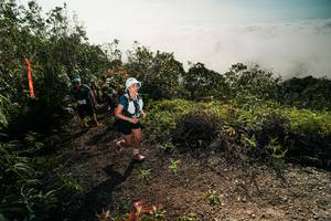 BIB: 
                            <button type="button" onclick="openModal(26496417)" class="btn btn-primary btn-sm float-right btn-popup" data-toggle="modal" data-target=".modal-high-quality">
                        <i class="fas fa-shopping-cart"></i> Add to Cart
                    </button>
                                            <button type="button" onclick="isThisMe(26496417, true)" class="btn btn-success btn-sm float-right btn-popup btn-isme hidden" data-toggle="tooltip" data-placement="bottom" title="นี่คือรูปของคุณใช่ไหม คลิกที่นี่เพื่อเอาเข้าอัลบั้ม">
                        <i class="fas fa-plus"></i> Add to album
                    </button>
                    <button type="button" onclick="isThisMe(26496417, false)" class="btn btn-warning btn-sm float-right btn-popup btn-isnotme hidden">
                        <i class="fas fa-ban"></i> Remove from album
                    </button>