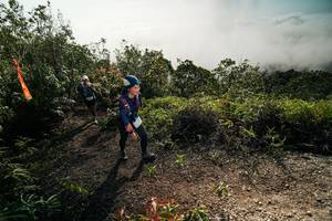 BIB: 
                            <button type="button" onclick="openModal(26496536)" class="btn btn-primary btn-sm float-right btn-popup" data-toggle="modal" data-target=".modal-high-quality">
                        <i class="fas fa-shopping-cart"></i> Add to Cart
                    </button>
                                            <button type="button" onclick="isThisMe(26496536, true)" class="btn btn-success btn-sm float-right btn-popup btn-isme hidden" data-toggle="tooltip" data-placement="bottom" title="นี่คือรูปของคุณใช่ไหม คลิกที่นี่เพื่อเอาเข้าอัลบั้ม">
                        <i class="fas fa-plus"></i> Add to album
                    </button>
                    <button type="button" onclick="isThisMe(26496536, false)" class="btn btn-warning btn-sm float-right btn-popup btn-isnotme hidden">
                        <i class="fas fa-ban"></i> Remove from album
                    </button>