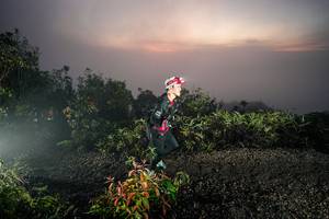 BIB: 
                            <button type="button" onclick="openModal(26473876)" class="btn btn-primary btn-sm float-right btn-popup" data-toggle="modal" data-target=".modal-high-quality">
                        <i class="fas fa-shopping-cart"></i> Add to Cart
                    </button>
                                            <button type="button" onclick="isThisMe(26473876, true)" class="btn btn-success btn-sm float-right btn-popup btn-isme hidden" data-toggle="tooltip" data-placement="bottom" title="นี่คือรูปของคุณใช่ไหม คลิกที่นี่เพื่อเอาเข้าอัลบั้ม">
                        <i class="fas fa-plus"></i> Add to album
                    </button>
                    <button type="button" onclick="isThisMe(26473876, false)" class="btn btn-warning btn-sm float-right btn-popup btn-isnotme hidden">
                        <i class="fas fa-ban"></i> Remove from album
                    </button>