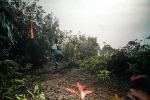 BIB: 
                            <button type="button" onclick="openModal(26486883)" class="btn btn-primary btn-sm float-right btn-popup" data-toggle="modal" data-target=".modal-high-quality">
                        <i class="fas fa-shopping-cart"></i> Add to Cart
                    </button>
                                            <button type="button" onclick="isThisMe(26486883, true)" class="btn btn-success btn-sm float-right btn-popup btn-isme hidden" data-toggle="tooltip" data-placement="bottom" title="นี่คือรูปของคุณใช่ไหม คลิกที่นี่เพื่อเอาเข้าอัลบั้ม">
                        <i class="fas fa-plus"></i> Add to album
                    </button>
                    <button type="button" onclick="isThisMe(26486883, false)" class="btn btn-warning btn-sm float-right btn-popup btn-isnotme hidden">
                        <i class="fas fa-ban"></i> Remove from album
                    </button>