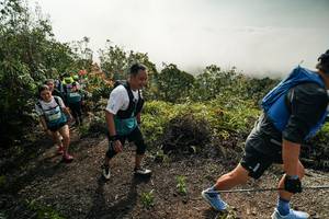 BIB: 
                            <button type="button" onclick="openModal(26496794)" class="btn btn-primary btn-sm float-right btn-popup" data-toggle="modal" data-target=".modal-high-quality">
                        <i class="fas fa-shopping-cart"></i> Add to Cart
                    </button>
                                            <button type="button" onclick="isThisMe(26496794, true)" class="btn btn-success btn-sm float-right btn-popup btn-isme hidden" data-toggle="tooltip" data-placement="bottom" title="นี่คือรูปของคุณใช่ไหม คลิกที่นี่เพื่อเอาเข้าอัลบั้ม">
                        <i class="fas fa-plus"></i> Add to album
                    </button>
                    <button type="button" onclick="isThisMe(26496794, false)" class="btn btn-warning btn-sm float-right btn-popup btn-isnotme hidden">
                        <i class="fas fa-ban"></i> Remove from album
                    </button>