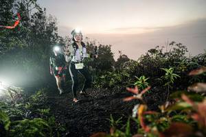 BIB: 
                            <button type="button" onclick="openModal(26474460)" class="btn btn-primary btn-sm float-right btn-popup" data-toggle="modal" data-target=".modal-high-quality">
                        <i class="fas fa-shopping-cart"></i> Add to Cart
                    </button>
                                            <button type="button" onclick="isThisMe(26474460, true)" class="btn btn-success btn-sm float-right btn-popup btn-isme hidden" data-toggle="tooltip" data-placement="bottom" title="นี่คือรูปของคุณใช่ไหม คลิกที่นี่เพื่อเอาเข้าอัลบั้ม">
                        <i class="fas fa-plus"></i> Add to album
                    </button>
                    <button type="button" onclick="isThisMe(26474460, false)" class="btn btn-warning btn-sm float-right btn-popup btn-isnotme hidden">
                        <i class="fas fa-ban"></i> Remove from album
                    </button>