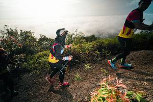 BIB: 
                            <button type="button" onclick="openModal(26488380)" class="btn btn-primary btn-sm float-right btn-popup" data-toggle="modal" data-target=".modal-high-quality">
                        <i class="fas fa-shopping-cart"></i> Add to Cart
                    </button>
                                            <button type="button" onclick="isThisMe(26488380, true)" class="btn btn-success btn-sm float-right btn-popup btn-isme hidden" data-toggle="tooltip" data-placement="bottom" title="นี่คือรูปของคุณใช่ไหม คลิกที่นี่เพื่อเอาเข้าอัลบั้ม">
                        <i class="fas fa-plus"></i> Add to album
                    </button>
                    <button type="button" onclick="isThisMe(26488380, false)" class="btn btn-warning btn-sm float-right btn-popup btn-isnotme hidden">
                        <i class="fas fa-ban"></i> Remove from album
                    </button>