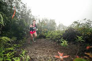 BIB: 
                            <button type="button" onclick="openModal(26485855)" class="btn btn-primary btn-sm float-right btn-popup" data-toggle="modal" data-target=".modal-high-quality">
                        <i class="fas fa-shopping-cart"></i> Add to Cart
                    </button>
                                            <button type="button" onclick="isThisMe(26485855, true)" class="btn btn-success btn-sm float-right btn-popup btn-isme hidden" data-toggle="tooltip" data-placement="bottom" title="นี่คือรูปของคุณใช่ไหม คลิกที่นี่เพื่อเอาเข้าอัลบั้ม">
                        <i class="fas fa-plus"></i> Add to album
                    </button>
                    <button type="button" onclick="isThisMe(26485855, false)" class="btn btn-warning btn-sm float-right btn-popup btn-isnotme hidden">
                        <i class="fas fa-ban"></i> Remove from album
                    </button>