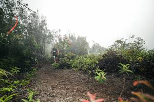 BIB: 
                            <button type="button" onclick="openModal(26485858)" class="btn btn-primary btn-sm float-right btn-popup" data-toggle="modal" data-target=".modal-high-quality">
                        <i class="fas fa-shopping-cart"></i> Add to Cart
                    </button>
                                            <button type="button" onclick="isThisMe(26485858, true)" class="btn btn-success btn-sm float-right btn-popup btn-isme hidden" data-toggle="tooltip" data-placement="bottom" title="นี่คือรูปของคุณใช่ไหม คลิกที่นี่เพื่อเอาเข้าอัลบั้ม">
                        <i class="fas fa-plus"></i> Add to album
                    </button>
                    <button type="button" onclick="isThisMe(26485858, false)" class="btn btn-warning btn-sm float-right btn-popup btn-isnotme hidden">
                        <i class="fas fa-ban"></i> Remove from album
                    </button>