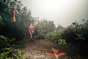 BIB: 
                            <button type="button" onclick="openModal(26486060)" class="btn btn-primary btn-sm float-right btn-popup" data-toggle="modal" data-target=".modal-high-quality">
                        <i class="fas fa-shopping-cart"></i> Add to Cart
                    </button>
                                            <button type="button" onclick="isThisMe(26486060, true)" class="btn btn-success btn-sm float-right btn-popup btn-isme hidden" data-toggle="tooltip" data-placement="bottom" title="นี่คือรูปของคุณใช่ไหม คลิกที่นี่เพื่อเอาเข้าอัลบั้ม">
                        <i class="fas fa-plus"></i> Add to album
                    </button>
                    <button type="button" onclick="isThisMe(26486060, false)" class="btn btn-warning btn-sm float-right btn-popup btn-isnotme hidden">
                        <i class="fas fa-ban"></i> Remove from album
                    </button>