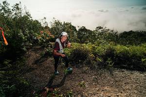 BIB: 
                            <button type="button" onclick="openModal(26496366)" class="btn btn-primary btn-sm float-right btn-popup" data-toggle="modal" data-target=".modal-high-quality">
                        <i class="fas fa-shopping-cart"></i> Add to Cart
                    </button>
                                            <button type="button" onclick="isThisMe(26496366, true)" class="btn btn-success btn-sm float-right btn-popup btn-isme hidden" data-toggle="tooltip" data-placement="bottom" title="นี่คือรูปของคุณใช่ไหม คลิกที่นี่เพื่อเอาเข้าอัลบั้ม">
                        <i class="fas fa-plus"></i> Add to album
                    </button>
                    <button type="button" onclick="isThisMe(26496366, false)" class="btn btn-warning btn-sm float-right btn-popup btn-isnotme hidden">
                        <i class="fas fa-ban"></i> Remove from album
                    </button>