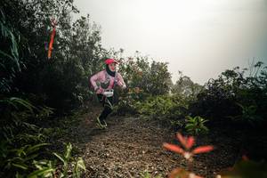 BIB: 
                            <button type="button" onclick="openModal(26486455)" class="btn btn-primary btn-sm float-right btn-popup" data-toggle="modal" data-target=".modal-high-quality">
                        <i class="fas fa-shopping-cart"></i> Add to Cart
                    </button>
                                            <button type="button" onclick="isThisMe(26486455, true)" class="btn btn-success btn-sm float-right btn-popup btn-isme hidden" data-toggle="tooltip" data-placement="bottom" title="นี่คือรูปของคุณใช่ไหม คลิกที่นี่เพื่อเอาเข้าอัลบั้ม">
                        <i class="fas fa-plus"></i> Add to album
                    </button>
                    <button type="button" onclick="isThisMe(26486455, false)" class="btn btn-warning btn-sm float-right btn-popup btn-isnotme hidden">
                        <i class="fas fa-ban"></i> Remove from album
                    </button>