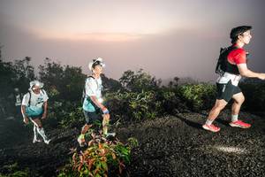 BIB: 
                            <button type="button" onclick="openModal(26474121)" class="btn btn-primary btn-sm float-right btn-popup" data-toggle="modal" data-target=".modal-high-quality">
                        <i class="fas fa-shopping-cart"></i> Add to Cart
                    </button>
                                            <button type="button" onclick="isThisMe(26474121, true)" class="btn btn-success btn-sm float-right btn-popup btn-isme hidden" data-toggle="tooltip" data-placement="bottom" title="นี่คือรูปของคุณใช่ไหม คลิกที่นี่เพื่อเอาเข้าอัลบั้ม">
                        <i class="fas fa-plus"></i> Add to album
                    </button>
                    <button type="button" onclick="isThisMe(26474121, false)" class="btn btn-warning btn-sm float-right btn-popup btn-isnotme hidden">
                        <i class="fas fa-ban"></i> Remove from album
                    </button>