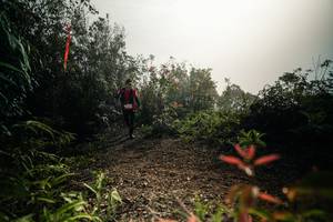 BIB: 
                            <button type="button" onclick="openModal(26486653)" class="btn btn-primary btn-sm float-right btn-popup" data-toggle="modal" data-target=".modal-high-quality">
                        <i class="fas fa-shopping-cart"></i> Add to Cart
                    </button>
                                            <button type="button" onclick="isThisMe(26486653, true)" class="btn btn-success btn-sm float-right btn-popup btn-isme hidden" data-toggle="tooltip" data-placement="bottom" title="นี่คือรูปของคุณใช่ไหม คลิกที่นี่เพื่อเอาเข้าอัลบั้ม">
                        <i class="fas fa-plus"></i> Add to album
                    </button>
                    <button type="button" onclick="isThisMe(26486653, false)" class="btn btn-warning btn-sm float-right btn-popup btn-isnotme hidden">
                        <i class="fas fa-ban"></i> Remove from album
                    </button>