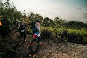 BIB: 
                            <button type="button" onclick="openModal(26496449)" class="btn btn-primary btn-sm float-right btn-popup" data-toggle="modal" data-target=".modal-high-quality">
                        <i class="fas fa-shopping-cart"></i> Add to Cart
                    </button>
                                            <button type="button" onclick="isThisMe(26496449, true)" class="btn btn-success btn-sm float-right btn-popup btn-isme hidden" data-toggle="tooltip" data-placement="bottom" title="นี่คือรูปของคุณใช่ไหม คลิกที่นี่เพื่อเอาเข้าอัลบั้ม">
                        <i class="fas fa-plus"></i> Add to album
                    </button>
                    <button type="button" onclick="isThisMe(26496449, false)" class="btn btn-warning btn-sm float-right btn-popup btn-isnotme hidden">
                        <i class="fas fa-ban"></i> Remove from album
                    </button>