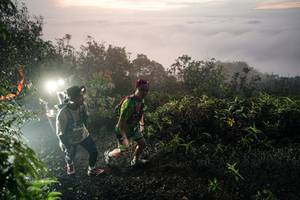 BIB: 
                            <button type="button" onclick="openModal(26475031)" class="btn btn-primary btn-sm float-right btn-popup" data-toggle="modal" data-target=".modal-high-quality">
                        <i class="fas fa-shopping-cart"></i> Add to Cart
                    </button>
                                            <button type="button" onclick="isThisMe(26475031, true)" class="btn btn-success btn-sm float-right btn-popup btn-isme hidden" data-toggle="tooltip" data-placement="bottom" title="นี่คือรูปของคุณใช่ไหม คลิกที่นี่เพื่อเอาเข้าอัลบั้ม">
                        <i class="fas fa-plus"></i> Add to album
                    </button>
                    <button type="button" onclick="isThisMe(26475031, false)" class="btn btn-warning btn-sm float-right btn-popup btn-isnotme hidden">
                        <i class="fas fa-ban"></i> Remove from album
                    </button>