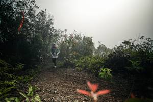 BIB: 
                            <button type="button" onclick="openModal(26486088)" class="btn btn-primary btn-sm float-right btn-popup" data-toggle="modal" data-target=".modal-high-quality">
                        <i class="fas fa-shopping-cart"></i> Add to Cart
                    </button>
                                            <button type="button" onclick="isThisMe(26486088, true)" class="btn btn-success btn-sm float-right btn-popup btn-isme hidden" data-toggle="tooltip" data-placement="bottom" title="นี่คือรูปของคุณใช่ไหม คลิกที่นี่เพื่อเอาเข้าอัลบั้ม">
                        <i class="fas fa-plus"></i> Add to album
                    </button>
                    <button type="button" onclick="isThisMe(26486088, false)" class="btn btn-warning btn-sm float-right btn-popup btn-isnotme hidden">
                        <i class="fas fa-ban"></i> Remove from album
                    </button>