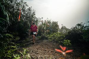 BIB: 
                            <button type="button" onclick="openModal(26486526)" class="btn btn-primary btn-sm float-right btn-popup" data-toggle="modal" data-target=".modal-high-quality">
                        <i class="fas fa-shopping-cart"></i> Add to Cart
                    </button>
                                            <button type="button" onclick="isThisMe(26486526, true)" class="btn btn-success btn-sm float-right btn-popup btn-isme hidden" data-toggle="tooltip" data-placement="bottom" title="นี่คือรูปของคุณใช่ไหม คลิกที่นี่เพื่อเอาเข้าอัลบั้ม">
                        <i class="fas fa-plus"></i> Add to album
                    </button>
                    <button type="button" onclick="isThisMe(26486526, false)" class="btn btn-warning btn-sm float-right btn-popup btn-isnotme hidden">
                        <i class="fas fa-ban"></i> Remove from album
                    </button>