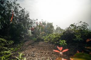 BIB: 
                            <button type="button" onclick="openModal(26486222)" class="btn btn-primary btn-sm float-right btn-popup" data-toggle="modal" data-target=".modal-high-quality">
                        <i class="fas fa-shopping-cart"></i> Add to Cart
                    </button>
                                            <button type="button" onclick="isThisMe(26486222, true)" class="btn btn-success btn-sm float-right btn-popup btn-isme hidden" data-toggle="tooltip" data-placement="bottom" title="นี่คือรูปของคุณใช่ไหม คลิกที่นี่เพื่อเอาเข้าอัลบั้ม">
                        <i class="fas fa-plus"></i> Add to album
                    </button>
                    <button type="button" onclick="isThisMe(26486222, false)" class="btn btn-warning btn-sm float-right btn-popup btn-isnotme hidden">
                        <i class="fas fa-ban"></i> Remove from album
                    </button>