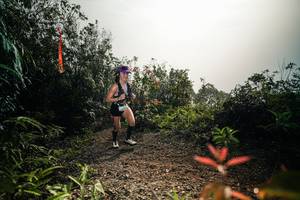 BIB: 
                            <button type="button" onclick="openModal(26486480)" class="btn btn-primary btn-sm float-right btn-popup" data-toggle="modal" data-target=".modal-high-quality">
                        <i class="fas fa-shopping-cart"></i> Add to Cart
                    </button>
                                            <button type="button" onclick="isThisMe(26486480, true)" class="btn btn-success btn-sm float-right btn-popup btn-isme hidden" data-toggle="tooltip" data-placement="bottom" title="นี่คือรูปของคุณใช่ไหม คลิกที่นี่เพื่อเอาเข้าอัลบั้ม">
                        <i class="fas fa-plus"></i> Add to album
                    </button>
                    <button type="button" onclick="isThisMe(26486480, false)" class="btn btn-warning btn-sm float-right btn-popup btn-isnotme hidden">
                        <i class="fas fa-ban"></i> Remove from album
                    </button>