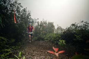 BIB: 
                            <button type="button" onclick="openModal(26486116)" class="btn btn-primary btn-sm float-right btn-popup" data-toggle="modal" data-target=".modal-high-quality">
                        <i class="fas fa-shopping-cart"></i> Add to Cart
                    </button>
                                            <button type="button" onclick="isThisMe(26486116, true)" class="btn btn-success btn-sm float-right btn-popup btn-isme hidden" data-toggle="tooltip" data-placement="bottom" title="นี่คือรูปของคุณใช่ไหม คลิกที่นี่เพื่อเอาเข้าอัลบั้ม">
                        <i class="fas fa-plus"></i> Add to album
                    </button>
                    <button type="button" onclick="isThisMe(26486116, false)" class="btn btn-warning btn-sm float-right btn-popup btn-isnotme hidden">
                        <i class="fas fa-ban"></i> Remove from album
                    </button>