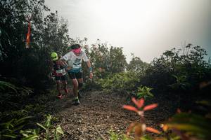 BIB: 
                            <button type="button" onclick="openModal(26486273)" class="btn btn-primary btn-sm float-right btn-popup" data-toggle="modal" data-target=".modal-high-quality">
                        <i class="fas fa-shopping-cart"></i> Add to Cart
                    </button>
                                            <button type="button" onclick="isThisMe(26486273, true)" class="btn btn-success btn-sm float-right btn-popup btn-isme hidden" data-toggle="tooltip" data-placement="bottom" title="นี่คือรูปของคุณใช่ไหม คลิกที่นี่เพื่อเอาเข้าอัลบั้ม">
                        <i class="fas fa-plus"></i> Add to album
                    </button>
                    <button type="button" onclick="isThisMe(26486273, false)" class="btn btn-warning btn-sm float-right btn-popup btn-isnotme hidden">
                        <i class="fas fa-ban"></i> Remove from album
                    </button>