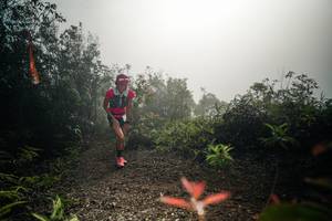 BIB: 
                            <button type="button" onclick="openModal(26486065)" class="btn btn-primary btn-sm float-right btn-popup" data-toggle="modal" data-target=".modal-high-quality">
                        <i class="fas fa-shopping-cart"></i> Add to Cart
                    </button>
                                            <button type="button" onclick="isThisMe(26486065, true)" class="btn btn-success btn-sm float-right btn-popup btn-isme hidden" data-toggle="tooltip" data-placement="bottom" title="นี่คือรูปของคุณใช่ไหม คลิกที่นี่เพื่อเอาเข้าอัลบั้ม">
                        <i class="fas fa-plus"></i> Add to album
                    </button>
                    <button type="button" onclick="isThisMe(26486065, false)" class="btn btn-warning btn-sm float-right btn-popup btn-isnotme hidden">
                        <i class="fas fa-ban"></i> Remove from album
                    </button>