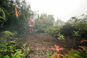 BIB: 
                            <button type="button" onclick="openModal(26485893)" class="btn btn-primary btn-sm float-right btn-popup" data-toggle="modal" data-target=".modal-high-quality">
                        <i class="fas fa-shopping-cart"></i> Add to Cart
                    </button>
                                            <button type="button" onclick="isThisMe(26485893, true)" class="btn btn-success btn-sm float-right btn-popup btn-isme hidden" data-toggle="tooltip" data-placement="bottom" title="นี่คือรูปของคุณใช่ไหม คลิกที่นี่เพื่อเอาเข้าอัลบั้ม">
                        <i class="fas fa-plus"></i> Add to album
                    </button>
                    <button type="button" onclick="isThisMe(26485893, false)" class="btn btn-warning btn-sm float-right btn-popup btn-isnotme hidden">
                        <i class="fas fa-ban"></i> Remove from album
                    </button>