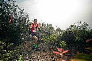 BIB: 
                            <button type="button" onclick="openModal(26486226)" class="btn btn-primary btn-sm float-right btn-popup" data-toggle="modal" data-target=".modal-high-quality">
                        <i class="fas fa-shopping-cart"></i> Add to Cart
                    </button>
                                            <button type="button" onclick="isThisMe(26486226, true)" class="btn btn-success btn-sm float-right btn-popup btn-isme hidden" data-toggle="tooltip" data-placement="bottom" title="นี่คือรูปของคุณใช่ไหม คลิกที่นี่เพื่อเอาเข้าอัลบั้ม">
                        <i class="fas fa-plus"></i> Add to album
                    </button>
                    <button type="button" onclick="isThisMe(26486226, false)" class="btn btn-warning btn-sm float-right btn-popup btn-isnotme hidden">
                        <i class="fas fa-ban"></i> Remove from album
                    </button>