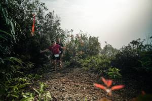 BIB: 
                            <button type="button" onclick="openModal(26486524)" class="btn btn-primary btn-sm float-right btn-popup" data-toggle="modal" data-target=".modal-high-quality">
                        <i class="fas fa-shopping-cart"></i> Add to Cart
                    </button>
                                            <button type="button" onclick="isThisMe(26486524, true)" class="btn btn-success btn-sm float-right btn-popup btn-isme hidden" data-toggle="tooltip" data-placement="bottom" title="นี่คือรูปของคุณใช่ไหม คลิกที่นี่เพื่อเอาเข้าอัลบั้ม">
                        <i class="fas fa-plus"></i> Add to album
                    </button>
                    <button type="button" onclick="isThisMe(26486524, false)" class="btn btn-warning btn-sm float-right btn-popup btn-isnotme hidden">
                        <i class="fas fa-ban"></i> Remove from album
                    </button>