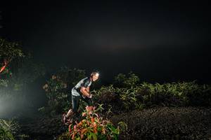 BIB: 
                            <button type="button" onclick="openModal(26472924)" class="btn btn-primary btn-sm float-right btn-popup" data-toggle="modal" data-target=".modal-high-quality">
                        <i class="fas fa-shopping-cart"></i> Add to Cart
                    </button>
                                            <button type="button" onclick="isThisMe(26472924, true)" class="btn btn-success btn-sm float-right btn-popup btn-isme hidden" data-toggle="tooltip" data-placement="bottom" title="นี่คือรูปของคุณใช่ไหม คลิกที่นี่เพื่อเอาเข้าอัลบั้ม">
                        <i class="fas fa-plus"></i> Add to album
                    </button>
                    <button type="button" onclick="isThisMe(26472924, false)" class="btn btn-warning btn-sm float-right btn-popup btn-isnotme hidden">
                        <i class="fas fa-ban"></i> Remove from album
                    </button>