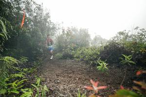 BIB: 
                            <button type="button" onclick="openModal(26485847)" class="btn btn-primary btn-sm float-right btn-popup" data-toggle="modal" data-target=".modal-high-quality">
                        <i class="fas fa-shopping-cart"></i> Add to Cart
                    </button>
                                            <button type="button" onclick="isThisMe(26485847, true)" class="btn btn-success btn-sm float-right btn-popup btn-isme hidden" data-toggle="tooltip" data-placement="bottom" title="นี่คือรูปของคุณใช่ไหม คลิกที่นี่เพื่อเอาเข้าอัลบั้ม">
                        <i class="fas fa-plus"></i> Add to album
                    </button>
                    <button type="button" onclick="isThisMe(26485847, false)" class="btn btn-warning btn-sm float-right btn-popup btn-isnotme hidden">
                        <i class="fas fa-ban"></i> Remove from album
                    </button>