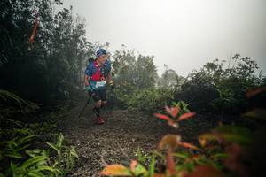 BIB: 
                            <button type="button" onclick="openModal(26486137)" class="btn btn-primary btn-sm float-right btn-popup" data-toggle="modal" data-target=".modal-high-quality">
                        <i class="fas fa-shopping-cart"></i> Add to Cart
                    </button>
                                            <button type="button" onclick="isThisMe(26486137, true)" class="btn btn-success btn-sm float-right btn-popup btn-isme hidden" data-toggle="tooltip" data-placement="bottom" title="นี่คือรูปของคุณใช่ไหม คลิกที่นี่เพื่อเอาเข้าอัลบั้ม">
                        <i class="fas fa-plus"></i> Add to album
                    </button>
                    <button type="button" onclick="isThisMe(26486137, false)" class="btn btn-warning btn-sm float-right btn-popup btn-isnotme hidden">
                        <i class="fas fa-ban"></i> Remove from album
                    </button>