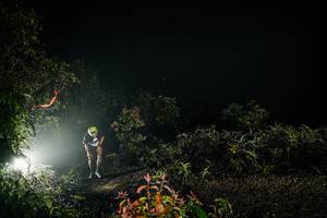 BIB: 
                            <button type="button" onclick="openModal(26472764)" class="btn btn-primary btn-sm float-right btn-popup" data-toggle="modal" data-target=".modal-high-quality">
                        <i class="fas fa-shopping-cart"></i> Add to Cart
                    </button>
                                            <button type="button" onclick="isThisMe(26472764, true)" class="btn btn-success btn-sm float-right btn-popup btn-isme hidden" data-toggle="tooltip" data-placement="bottom" title="นี่คือรูปของคุณใช่ไหม คลิกที่นี่เพื่อเอาเข้าอัลบั้ม">
                        <i class="fas fa-plus"></i> Add to album
                    </button>
                    <button type="button" onclick="isThisMe(26472764, false)" class="btn btn-warning btn-sm float-right btn-popup btn-isnotme hidden">
                        <i class="fas fa-ban"></i> Remove from album
                    </button>