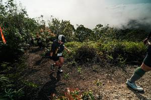 BIB: 
                            <button type="button" onclick="openModal(26496603)" class="btn btn-primary btn-sm float-right btn-popup" data-toggle="modal" data-target=".modal-high-quality">
                        <i class="fas fa-shopping-cart"></i> Add to Cart
                    </button>
                                            <button type="button" onclick="isThisMe(26496603, true)" class="btn btn-success btn-sm float-right btn-popup btn-isme hidden" data-toggle="tooltip" data-placement="bottom" title="นี่คือรูปของคุณใช่ไหม คลิกที่นี่เพื่อเอาเข้าอัลบั้ม">
                        <i class="fas fa-plus"></i> Add to album
                    </button>
                    <button type="button" onclick="isThisMe(26496603, false)" class="btn btn-warning btn-sm float-right btn-popup btn-isnotme hidden">
                        <i class="fas fa-ban"></i> Remove from album
                    </button>