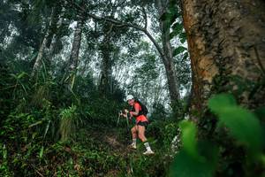 BIB: 
                            <button type="button" onclick="openModal(26209210)" class="btn btn-primary btn-sm float-right btn-popup" data-toggle="modal" data-target=".modal-high-quality">
                        <i class="fas fa-shopping-cart"></i> Add to Cart
                    </button>
                                            <button type="button" onclick="isThisMe(26209210, true)" class="btn btn-success btn-sm float-right btn-popup btn-isme hidden" data-toggle="tooltip" data-placement="bottom" title="นี่คือรูปของคุณใช่ไหม คลิกที่นี่เพื่อเอาเข้าอัลบั้ม">
                        <i class="fas fa-plus"></i> Add to album
                    </button>
                    <button type="button" onclick="isThisMe(26209210, false)" class="btn btn-warning btn-sm float-right btn-popup btn-isnotme hidden">
                        <i class="fas fa-ban"></i> Remove from album
                    </button>