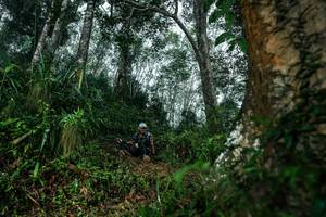 BIB: 
                            <button type="button" onclick="openModal(26209281)" class="btn btn-primary btn-sm float-right btn-popup" data-toggle="modal" data-target=".modal-high-quality">
                        <i class="fas fa-shopping-cart"></i> Add to Cart
                    </button>
                                            <button type="button" onclick="isThisMe(26209281, true)" class="btn btn-success btn-sm float-right btn-popup btn-isme hidden" data-toggle="tooltip" data-placement="bottom" title="นี่คือรูปของคุณใช่ไหม คลิกที่นี่เพื่อเอาเข้าอัลบั้ม">
                        <i class="fas fa-plus"></i> Add to album
                    </button>
                    <button type="button" onclick="isThisMe(26209281, false)" class="btn btn-warning btn-sm float-right btn-popup btn-isnotme hidden">
                        <i class="fas fa-ban"></i> Remove from album
                    </button>