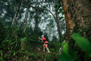 BIB: 
                            <button type="button" onclick="openModal(26209206)" class="btn btn-primary btn-sm float-right btn-popup" data-toggle="modal" data-target=".modal-high-quality">
                        <i class="fas fa-shopping-cart"></i> Add to Cart
                    </button>
                                            <button type="button" onclick="isThisMe(26209206, true)" class="btn btn-success btn-sm float-right btn-popup btn-isme hidden" data-toggle="tooltip" data-placement="bottom" title="นี่คือรูปของคุณใช่ไหม คลิกที่นี่เพื่อเอาเข้าอัลบั้ม">
                        <i class="fas fa-plus"></i> Add to album
                    </button>
                    <button type="button" onclick="isThisMe(26209206, false)" class="btn btn-warning btn-sm float-right btn-popup btn-isnotme hidden">
                        <i class="fas fa-ban"></i> Remove from album
                    </button>