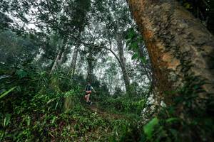 BIB: 
                            <button type="button" onclick="openModal(26208870)" class="btn btn-primary btn-sm float-right btn-popup" data-toggle="modal" data-target=".modal-high-quality">
                        <i class="fas fa-shopping-cart"></i> Add to Cart
                    </button>
                                            <button type="button" onclick="isThisMe(26208870, true)" class="btn btn-success btn-sm float-right btn-popup btn-isme hidden" data-toggle="tooltip" data-placement="bottom" title="นี่คือรูปของคุณใช่ไหม คลิกที่นี่เพื่อเอาเข้าอัลบั้ม">
                        <i class="fas fa-plus"></i> Add to album
                    </button>
                    <button type="button" onclick="isThisMe(26208870, false)" class="btn btn-warning btn-sm float-right btn-popup btn-isnotme hidden">
                        <i class="fas fa-ban"></i> Remove from album
                    </button>