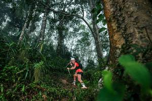 BIB: 
                            <button type="button" onclick="openModal(26209205)" class="btn btn-primary btn-sm float-right btn-popup" data-toggle="modal" data-target=".modal-high-quality">
                        <i class="fas fa-shopping-cart"></i> Add to Cart
                    </button>
                                            <button type="button" onclick="isThisMe(26209205, true)" class="btn btn-success btn-sm float-right btn-popup btn-isme hidden" data-toggle="tooltip" data-placement="bottom" title="นี่คือรูปของคุณใช่ไหม คลิกที่นี่เพื่อเอาเข้าอัลบั้ม">
                        <i class="fas fa-plus"></i> Add to album
                    </button>
                    <button type="button" onclick="isThisMe(26209205, false)" class="btn btn-warning btn-sm float-right btn-popup btn-isnotme hidden">
                        <i class="fas fa-ban"></i> Remove from album
                    </button>