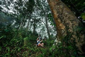 BIB: 
                            <button type="button" onclick="openModal(26208931)" class="btn btn-primary btn-sm float-right btn-popup" data-toggle="modal" data-target=".modal-high-quality">
                        <i class="fas fa-shopping-cart"></i> Add to Cart
                    </button>
                                            <button type="button" onclick="isThisMe(26208931, true)" class="btn btn-success btn-sm float-right btn-popup btn-isme hidden" data-toggle="tooltip" data-placement="bottom" title="นี่คือรูปของคุณใช่ไหม คลิกที่นี่เพื่อเอาเข้าอัลบั้ม">
                        <i class="fas fa-plus"></i> Add to album
                    </button>
                    <button type="button" onclick="isThisMe(26208931, false)" class="btn btn-warning btn-sm float-right btn-popup btn-isnotme hidden">
                        <i class="fas fa-ban"></i> Remove from album
                    </button>