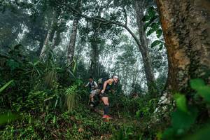 BIB: 
                            <button type="button" onclick="openModal(26209137)" class="btn btn-primary btn-sm float-right btn-popup" data-toggle="modal" data-target=".modal-high-quality">
                        <i class="fas fa-shopping-cart"></i> Add to Cart
                    </button>
                                            <button type="button" onclick="isThisMe(26209137, true)" class="btn btn-success btn-sm float-right btn-popup btn-isme hidden" data-toggle="tooltip" data-placement="bottom" title="นี่คือรูปของคุณใช่ไหม คลิกที่นี่เพื่อเอาเข้าอัลบั้ม">
                        <i class="fas fa-plus"></i> Add to album
                    </button>
                    <button type="button" onclick="isThisMe(26209137, false)" class="btn btn-warning btn-sm float-right btn-popup btn-isnotme hidden">
                        <i class="fas fa-ban"></i> Remove from album
                    </button>