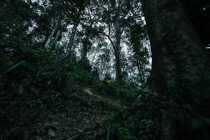 BIB: 
                            <button type="button" onclick="openModal(26209554)" class="btn btn-primary btn-sm float-right btn-popup" data-toggle="modal" data-target=".modal-high-quality">
                        <i class="fas fa-shopping-cart"></i> Add to Cart
                    </button>
                                            <button type="button" onclick="isThisMe(26209554, true)" class="btn btn-success btn-sm float-right btn-popup btn-isme hidden" data-toggle="tooltip" data-placement="bottom" title="นี่คือรูปของคุณใช่ไหม คลิกที่นี่เพื่อเอาเข้าอัลบั้ม">
                        <i class="fas fa-plus"></i> Add to album
                    </button>
                    <button type="button" onclick="isThisMe(26209554, false)" class="btn btn-warning btn-sm float-right btn-popup btn-isnotme hidden">
                        <i class="fas fa-ban"></i> Remove from album
                    </button>