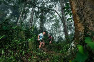 BIB: 
                            <button type="button" onclick="openModal(26209116)" class="btn btn-primary btn-sm float-right btn-popup" data-toggle="modal" data-target=".modal-high-quality">
                        <i class="fas fa-shopping-cart"></i> Add to Cart
                    </button>
                                            <button type="button" onclick="isThisMe(26209116, true)" class="btn btn-success btn-sm float-right btn-popup btn-isme hidden" data-toggle="tooltip" data-placement="bottom" title="นี่คือรูปของคุณใช่ไหม คลิกที่นี่เพื่อเอาเข้าอัลบั้ม">
                        <i class="fas fa-plus"></i> Add to album
                    </button>
                    <button type="button" onclick="isThisMe(26209116, false)" class="btn btn-warning btn-sm float-right btn-popup btn-isnotme hidden">
                        <i class="fas fa-ban"></i> Remove from album
                    </button>