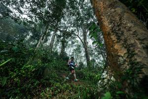 BIB: 
                            <button type="button" onclick="openModal(26208889)" class="btn btn-primary btn-sm float-right btn-popup" data-toggle="modal" data-target=".modal-high-quality">
                        <i class="fas fa-shopping-cart"></i> Add to Cart
                    </button>
                                            <button type="button" onclick="isThisMe(26208889, true)" class="btn btn-success btn-sm float-right btn-popup btn-isme hidden" data-toggle="tooltip" data-placement="bottom" title="นี่คือรูปของคุณใช่ไหม คลิกที่นี่เพื่อเอาเข้าอัลบั้ม">
                        <i class="fas fa-plus"></i> Add to album
                    </button>
                    <button type="button" onclick="isThisMe(26208889, false)" class="btn btn-warning btn-sm float-right btn-popup btn-isnotme hidden">
                        <i class="fas fa-ban"></i> Remove from album
                    </button>