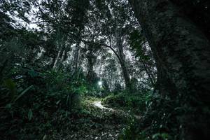 BIB: 
                            <button type="button" onclick="openModal(26209522)" class="btn btn-primary btn-sm float-right btn-popup" data-toggle="modal" data-target=".modal-high-quality">
                        <i class="fas fa-shopping-cart"></i> Add to Cart
                    </button>
                                            <button type="button" onclick="isThisMe(26209522, true)" class="btn btn-success btn-sm float-right btn-popup btn-isme hidden" data-toggle="tooltip" data-placement="bottom" title="นี่คือรูปของคุณใช่ไหม คลิกที่นี่เพื่อเอาเข้าอัลบั้ม">
                        <i class="fas fa-plus"></i> Add to album
                    </button>
                    <button type="button" onclick="isThisMe(26209522, false)" class="btn btn-warning btn-sm float-right btn-popup btn-isnotme hidden">
                        <i class="fas fa-ban"></i> Remove from album
                    </button>