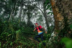 BIB: 
                            <button type="button" onclick="openModal(26208977)" class="btn btn-primary btn-sm float-right btn-popup" data-toggle="modal" data-target=".modal-high-quality">
                        <i class="fas fa-shopping-cart"></i> Add to Cart
                    </button>
                                            <button type="button" onclick="isThisMe(26208977, true)" class="btn btn-success btn-sm float-right btn-popup btn-isme hidden" data-toggle="tooltip" data-placement="bottom" title="นี่คือรูปของคุณใช่ไหม คลิกที่นี่เพื่อเอาเข้าอัลบั้ม">
                        <i class="fas fa-plus"></i> Add to album
                    </button>
                    <button type="button" onclick="isThisMe(26208977, false)" class="btn btn-warning btn-sm float-right btn-popup btn-isnotme hidden">
                        <i class="fas fa-ban"></i> Remove from album
                    </button>