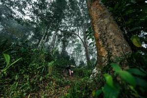 BIB: 
                            <button type="button" onclick="openModal(26209093)" class="btn btn-primary btn-sm float-right btn-popup" data-toggle="modal" data-target=".modal-high-quality">
                        <i class="fas fa-shopping-cart"></i> Add to Cart
                    </button>
                                            <button type="button" onclick="isThisMe(26209093, true)" class="btn btn-success btn-sm float-right btn-popup btn-isme hidden" data-toggle="tooltip" data-placement="bottom" title="นี่คือรูปของคุณใช่ไหม คลิกที่นี่เพื่อเอาเข้าอัลบั้ม">
                        <i class="fas fa-plus"></i> Add to album
                    </button>
                    <button type="button" onclick="isThisMe(26209093, false)" class="btn btn-warning btn-sm float-right btn-popup btn-isnotme hidden">
                        <i class="fas fa-ban"></i> Remove from album
                    </button>