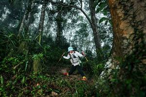 BIB: 
                            <button type="button" onclick="openModal(26209453)" class="btn btn-primary btn-sm float-right btn-popup" data-toggle="modal" data-target=".modal-high-quality">
                        <i class="fas fa-shopping-cart"></i> Add to Cart
                    </button>
                                            <button type="button" onclick="isThisMe(26209453, true)" class="btn btn-success btn-sm float-right btn-popup btn-isme hidden" data-toggle="tooltip" data-placement="bottom" title="นี่คือรูปของคุณใช่ไหม คลิกที่นี่เพื่อเอาเข้าอัลบั้ม">
                        <i class="fas fa-plus"></i> Add to album
                    </button>
                    <button type="button" onclick="isThisMe(26209453, false)" class="btn btn-warning btn-sm float-right btn-popup btn-isnotme hidden">
                        <i class="fas fa-ban"></i> Remove from album
                    </button>