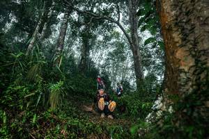 BIB: 
                            <button type="button" onclick="openModal(26209221)" class="btn btn-primary btn-sm float-right btn-popup" data-toggle="modal" data-target=".modal-high-quality">
                        <i class="fas fa-shopping-cart"></i> Add to Cart
                    </button>
                                            <button type="button" onclick="isThisMe(26209221, true)" class="btn btn-success btn-sm float-right btn-popup btn-isme hidden" data-toggle="tooltip" data-placement="bottom" title="นี่คือรูปของคุณใช่ไหม คลิกที่นี่เพื่อเอาเข้าอัลบั้ม">
                        <i class="fas fa-plus"></i> Add to album
                    </button>
                    <button type="button" onclick="isThisMe(26209221, false)" class="btn btn-warning btn-sm float-right btn-popup btn-isnotme hidden">
                        <i class="fas fa-ban"></i> Remove from album
                    </button>